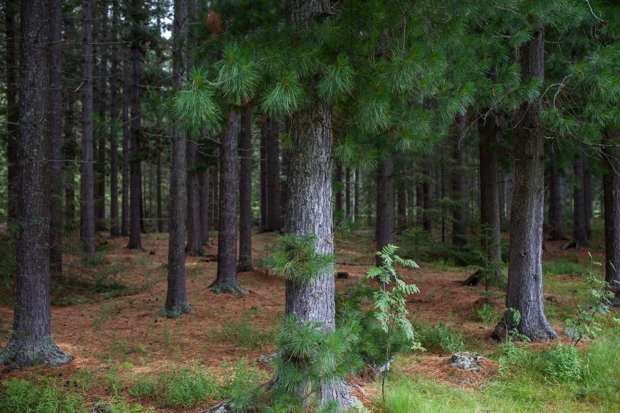 Saltdal Turistsenter