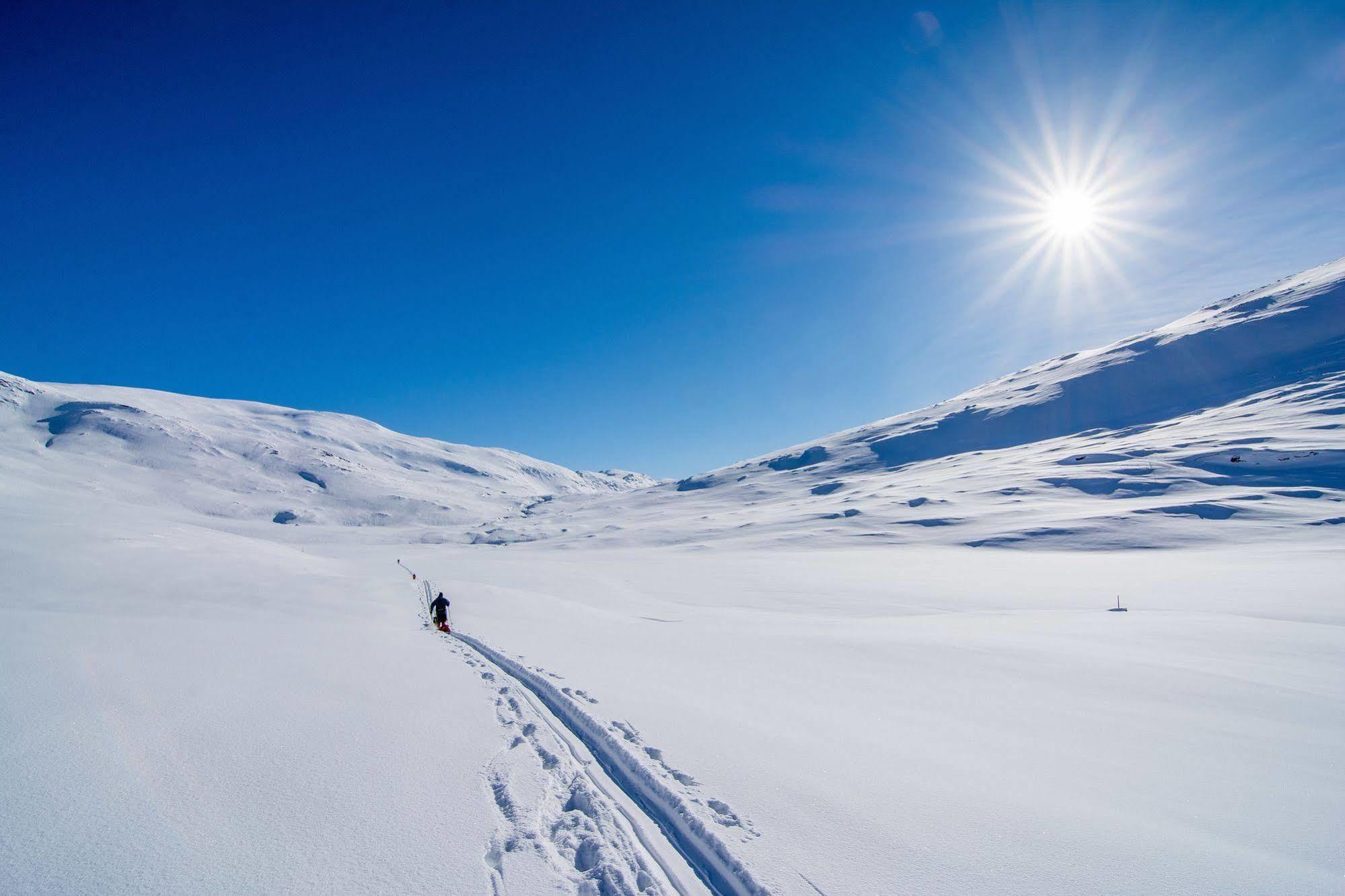 Saltdal Turistsenter Lodge Storjord