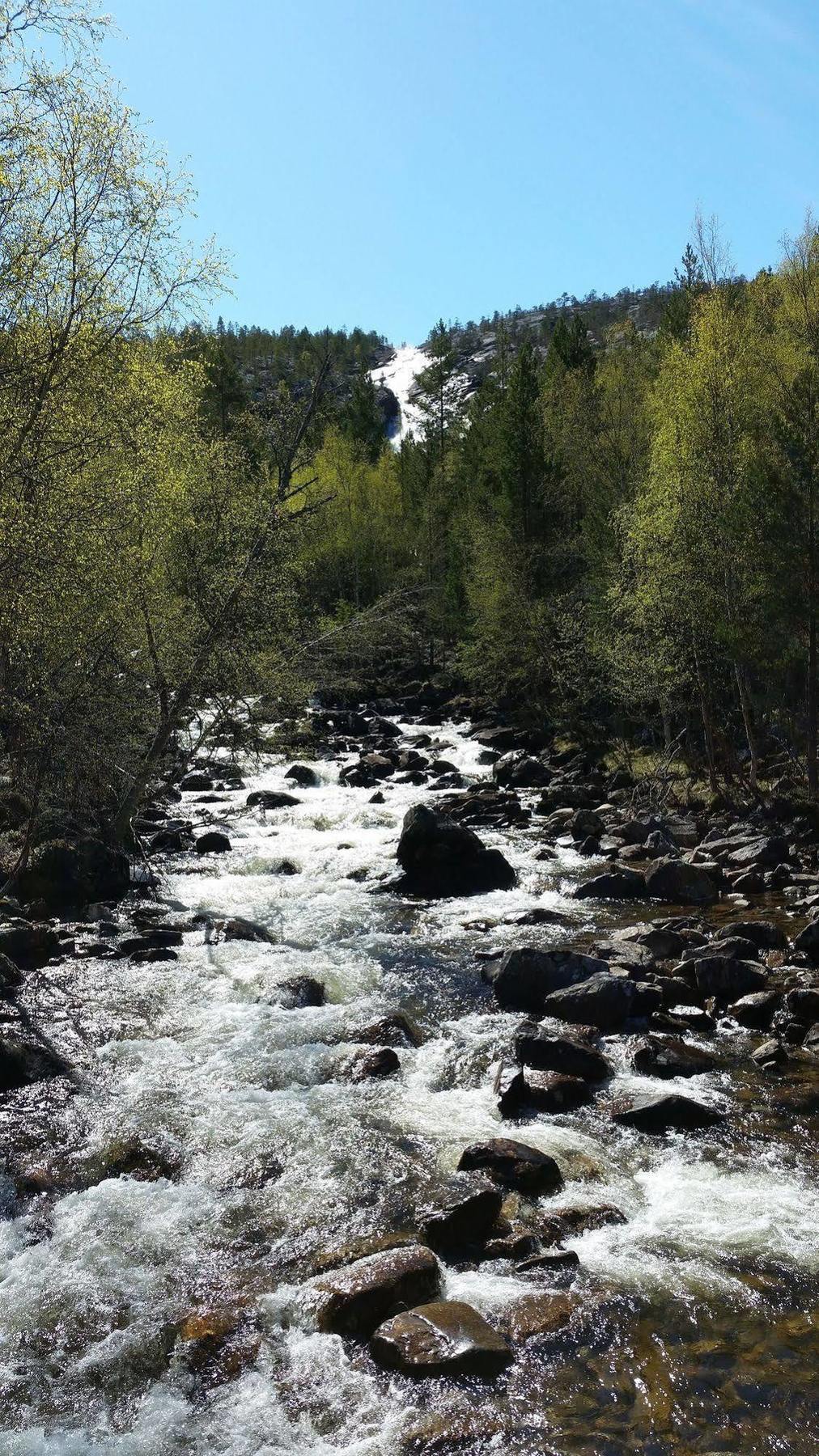 Saltdal Turistsenter Lodge *